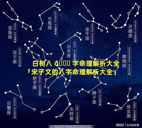 白树八 🐛 字命理解析大全「宋子文的八字命理解析大全」